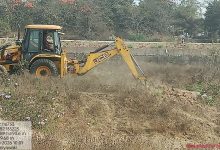 Photo of बिलासपुर की लाइफलाइन अरपा के तट पर उगेगा मियावाकी जंगल…